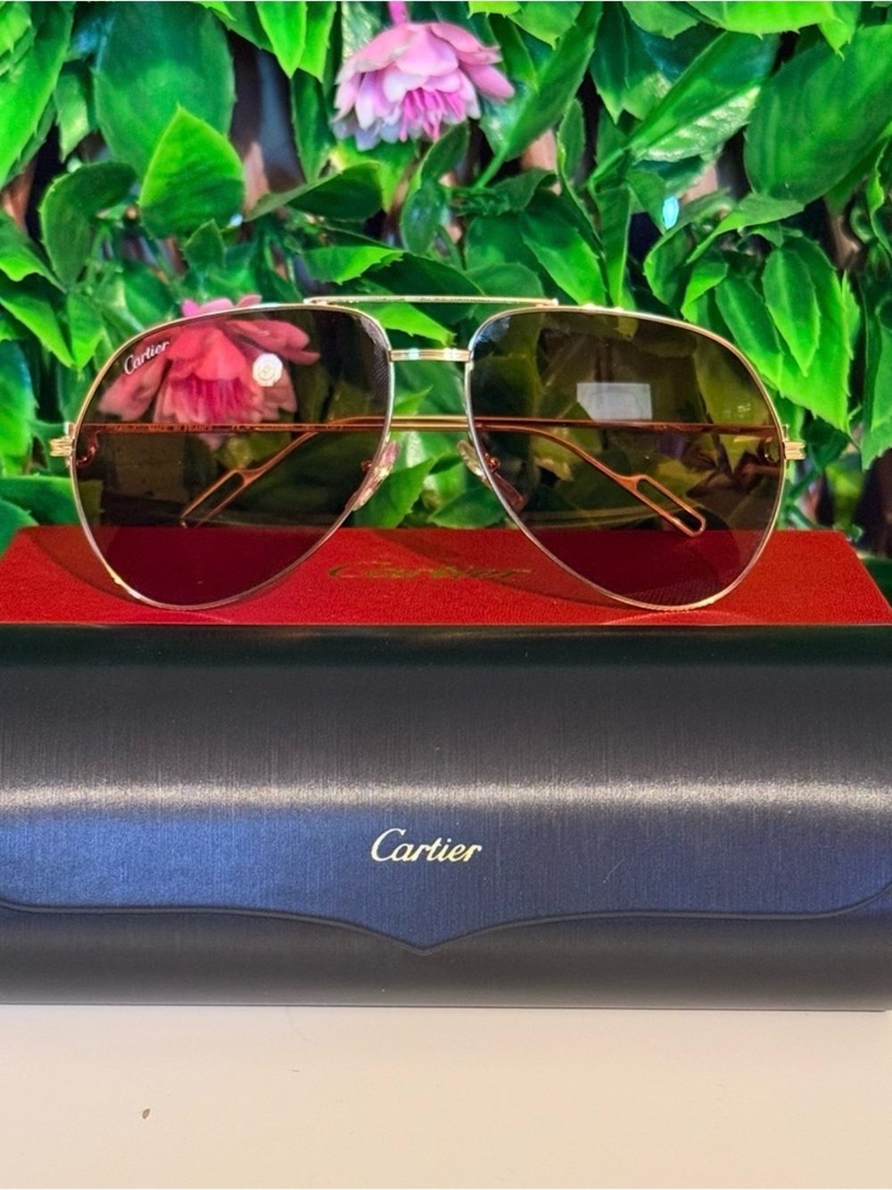 NEW Cartier Aviator Pilot Sunglasses Rosey Tinted Lenses Gold Plated Hardware
